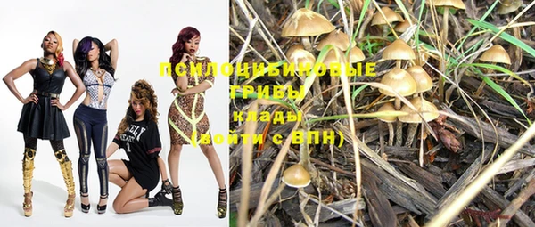 ешки Майский