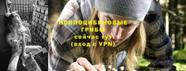 твердый Магадан