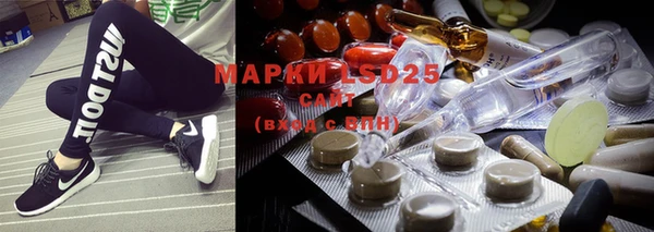 твердый Магадан